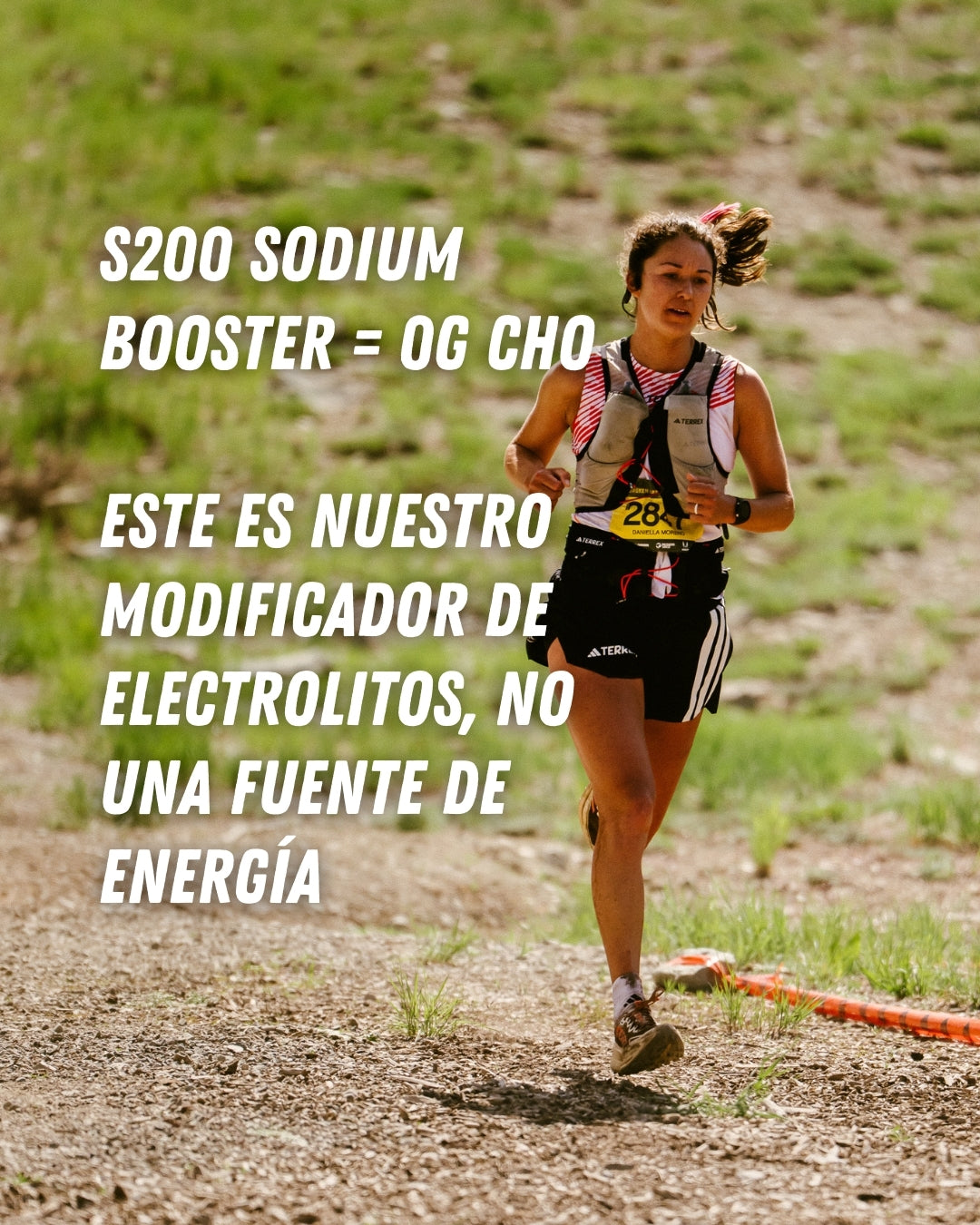 S200 SODIUM BOOSTER
